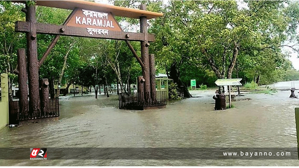 ১০ ফুট পানির নিচে সুন্দরবন