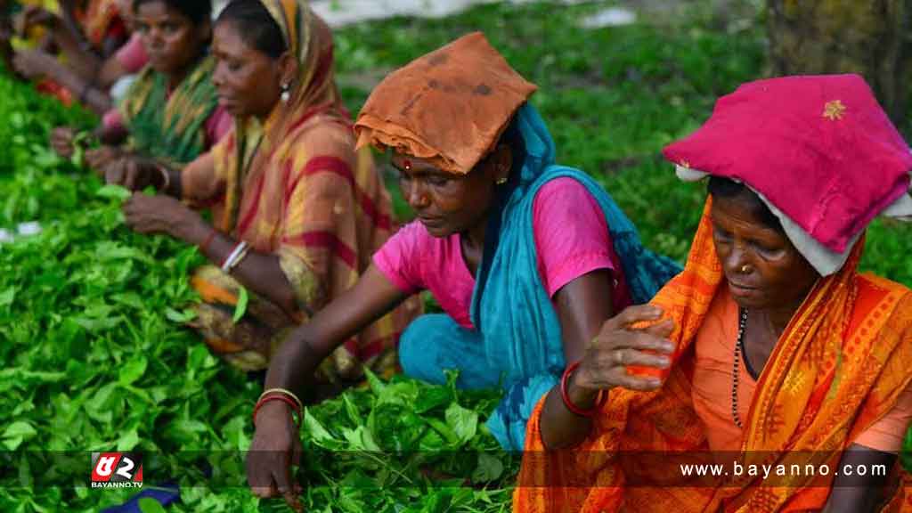 ঐতিহাসিক চা শ্রমিক দিবস কাল