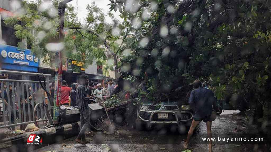 রাজধানীর পান্থপথে ভেঙে পড়েছে গাছ