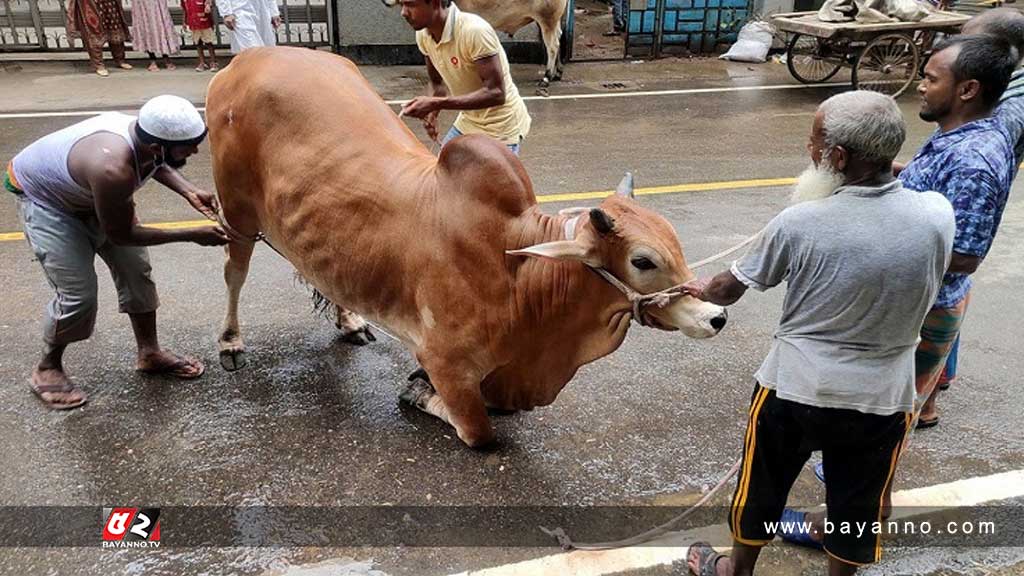 পাড়া-মহল্লায় চলছে পশু কোরবানি