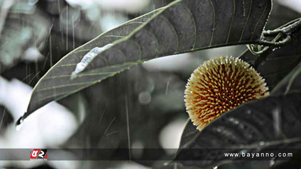 বর্ষার ছন্দে এসেছে আষাঢ়ে মেঘের ভেলা!