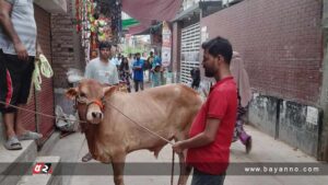 আল্লাহর অনুগ্রহ লাভের আশায় চলছে পশু কোরবানি